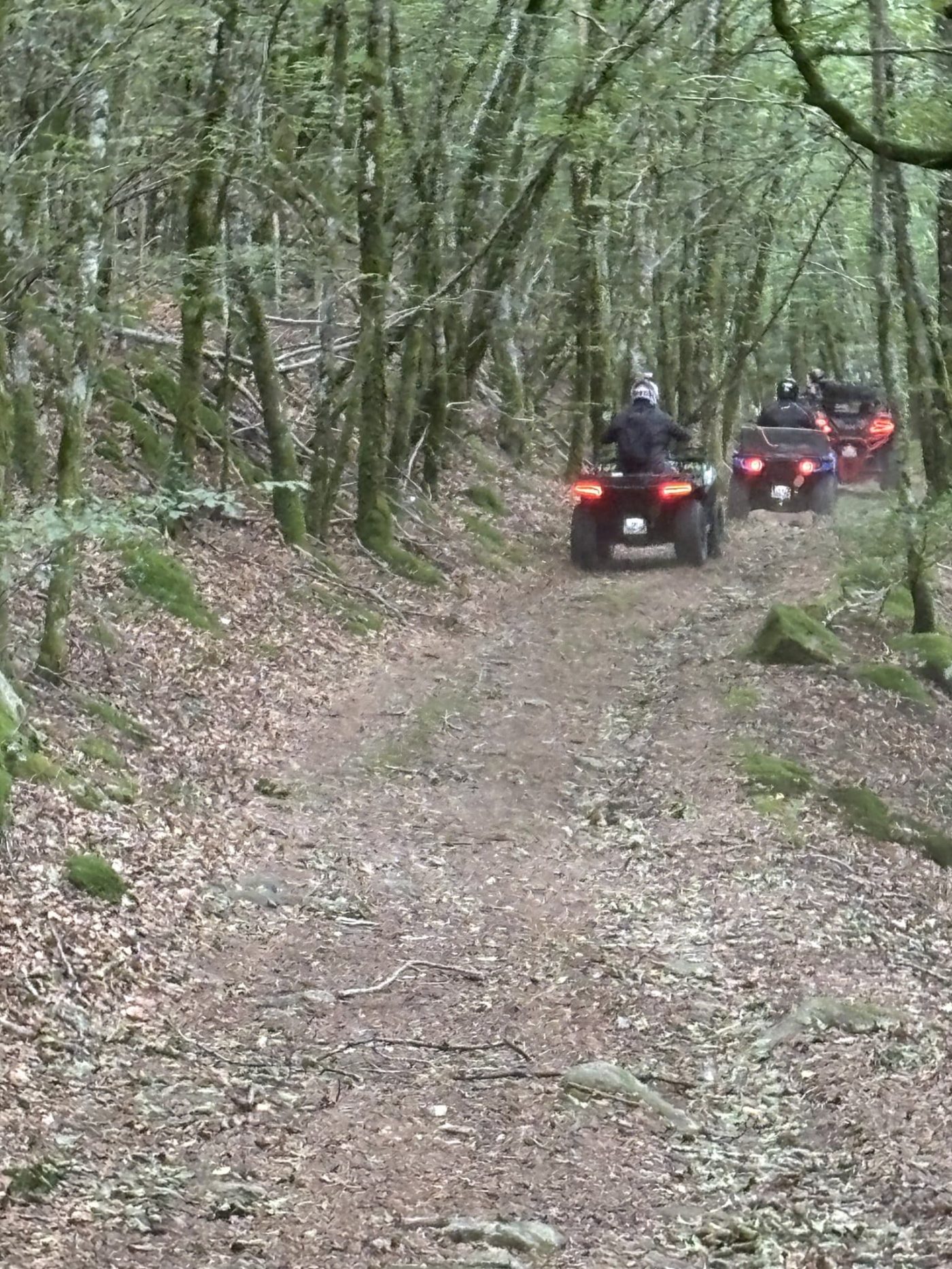 474466684_577245162129476_949695246144572190_n (1)-min