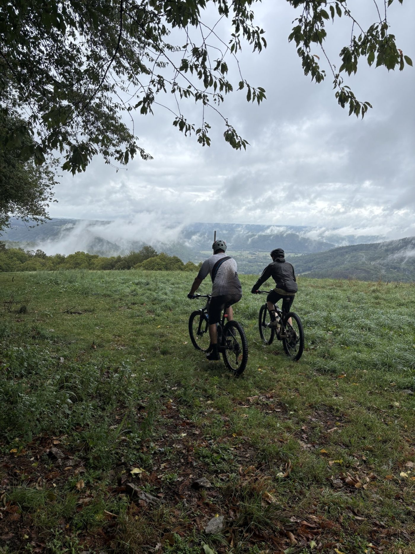 539821370_808890288964961_5058821434652687494_n (1)-min