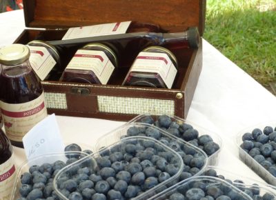 6808ad495bb20281121863