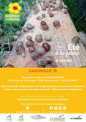 AFFICHE BAF ÉTÉ – PRODUCTEURS – CAGOUILLE19