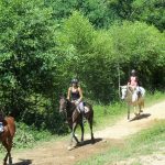 Ecuries Gilles Bordes_1