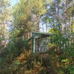 Chalet-dans-un-ecrin-de-verdure