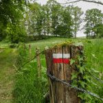 Corrèze Tourisme_GR46_Balisage_© David Genestal_juin 2024