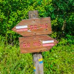 Corrèze Tourisme_GR46_Balisage (2)_© David Genestal_juin 2024