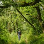 Corrèze Tourisme_GR46_Descente sur Saint-Pantaléon_© David Genestal_juin 2024