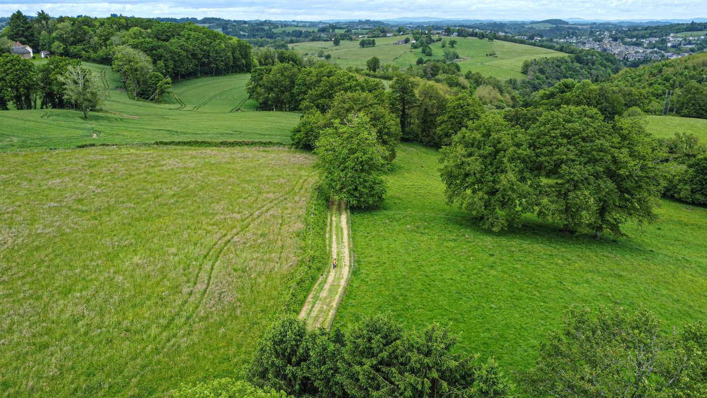 Corrèze Tourisme_GR46_Sentier après Uzerche_© David Genestal_juin 2024