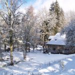 Meublé de Tourisme l’éveil de la forêt_14