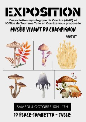 Expo champi – 1