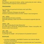 FLYER 1208 – 2