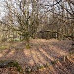 Cromlech_1