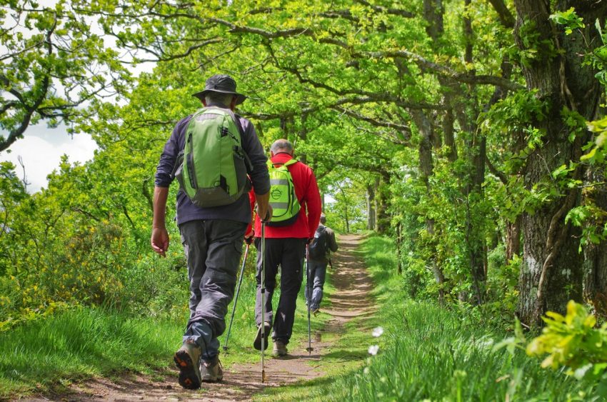 IMGP5647_1024x768-850×563