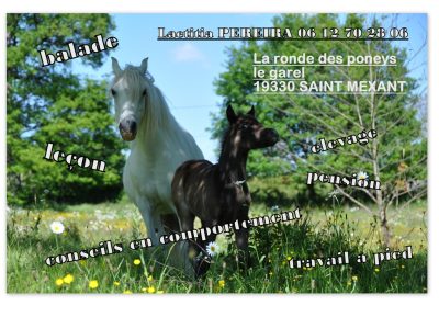 La Ronde des Poneys_1