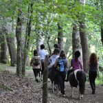 La Ronde des Poneys_2