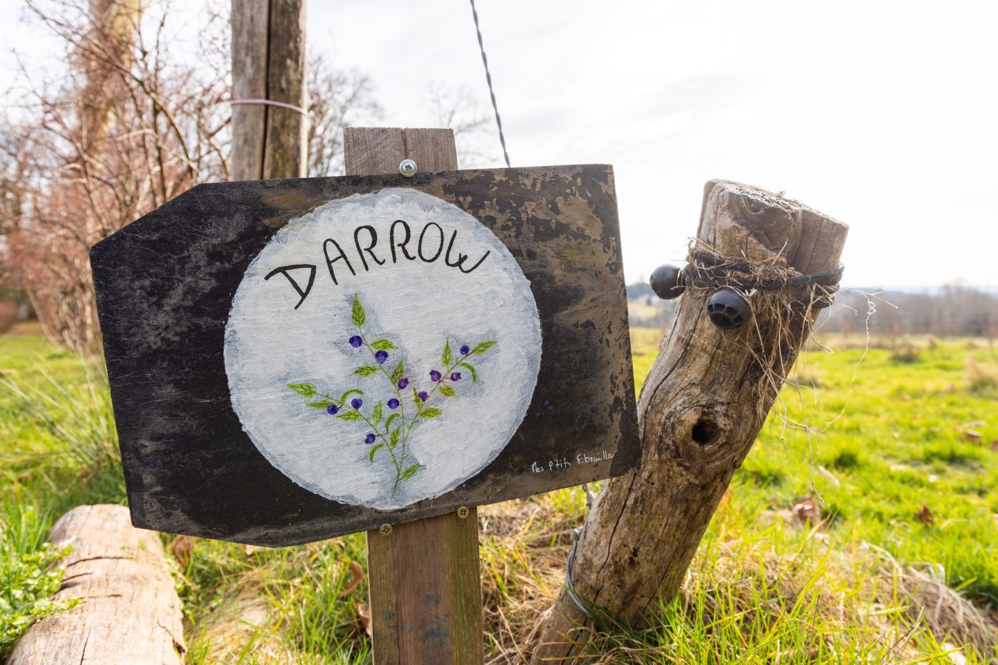 Le verger de Beyssac