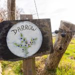 Le verger de Beyssac