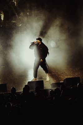 MG_5790-Avec-accentuation-Bruit-scaled