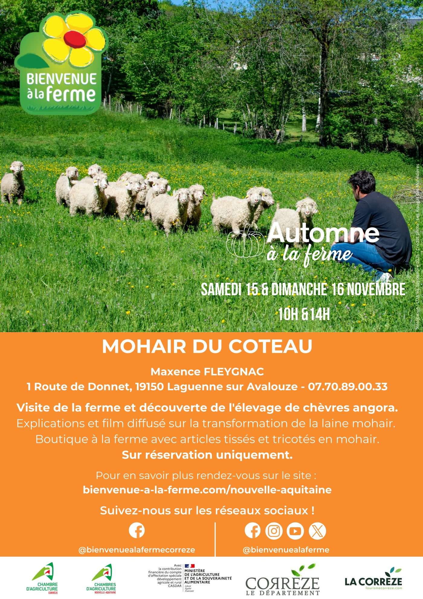 AFFICHE BAF AUTOMNE – PRODUCTEURS – MOHAIR DU COTEAU