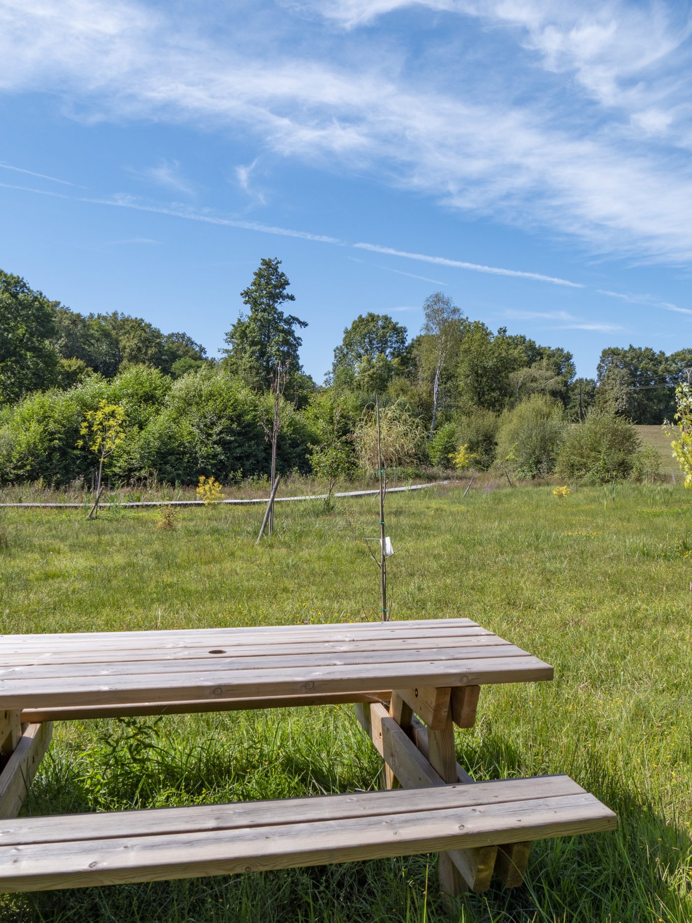 P1080885©OT Tulle en Corrèze