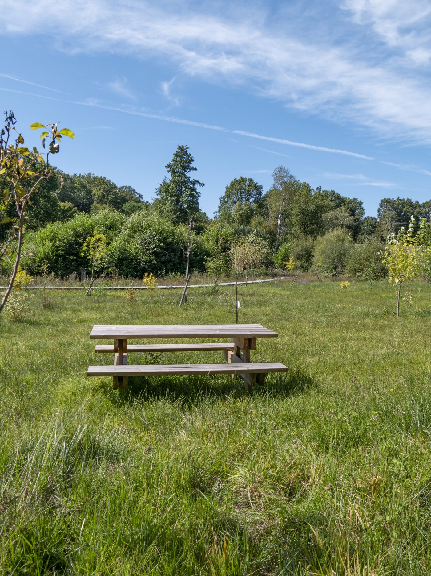 P1080892©OT Tulle en Corrèze