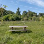 P1080892©OT Tulle en Corrèze