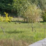 P1081008©OT Tulle en Corrèze