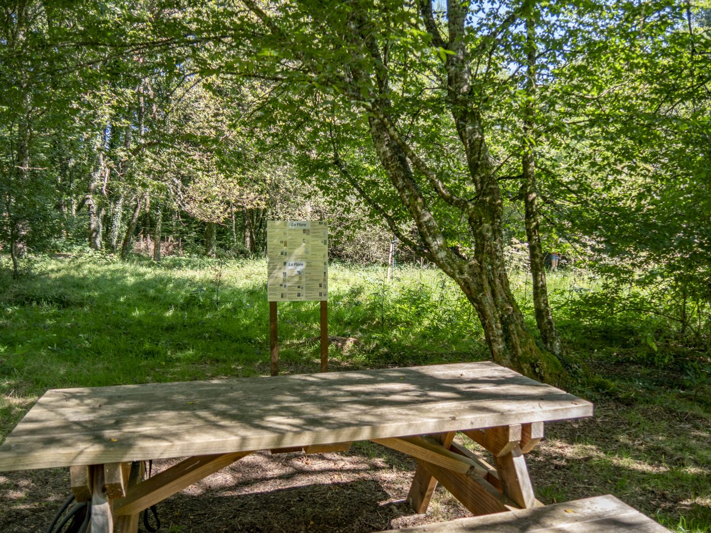 P1091386©OT Tulle en Corrèze