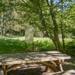 P1091386©OT Tulle en Corrèze