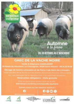 Vache noire-page-001