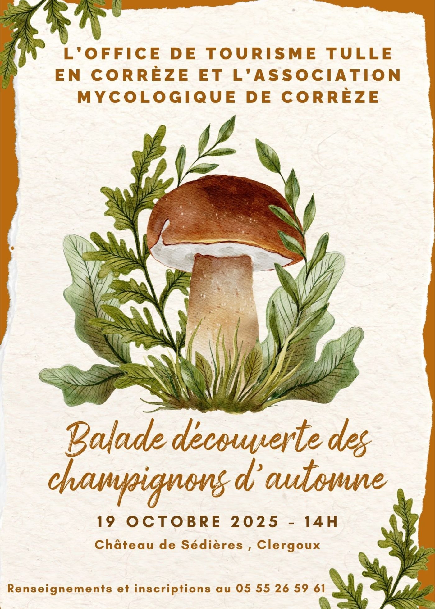 à la découverte des champis pour print – 1
