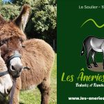 f15888_690d57fec6114ffba8e6497cb94d3e99~mv2