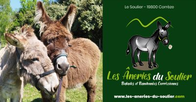 f15888_690d57fec6114ffba8e6497cb94d3e99~mv2