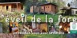gite_nature_eveil_de_la_foret_correze V2