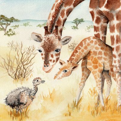 illustration-aquarelle-Autruchon-et-girafon