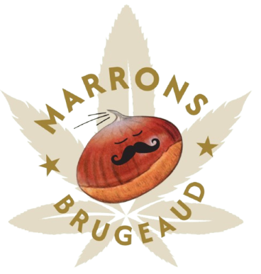 logo_marrons_Brugeaud-removebg-preview